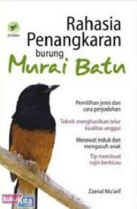 Image of Rahasia penangkaran burung Murai batu